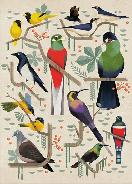 Dieter Braun poster birds 50 x 70 cm