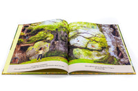 Het land achter de Elfendeur 4 jr+