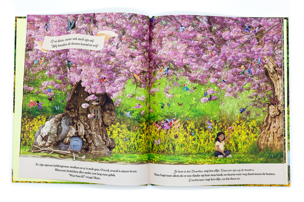 Het land achter de Elfendeur 4 jr+