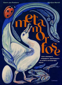 Metamorfose 8 jr+