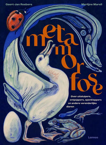 Metamorfose 8 jr+