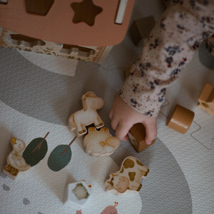 Mrs Ertha houten sorteerspel Tiny Barn 18mnd 658606270824 d