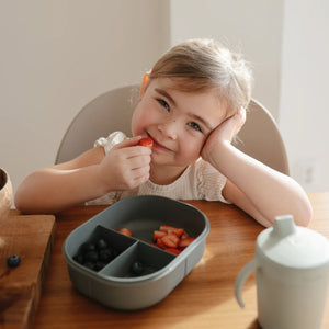 Mushie lunchbox smoke