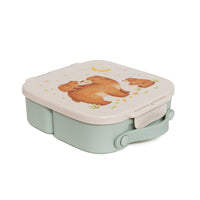 Petit Monkey bento lunchbox BearLB56B-Rg