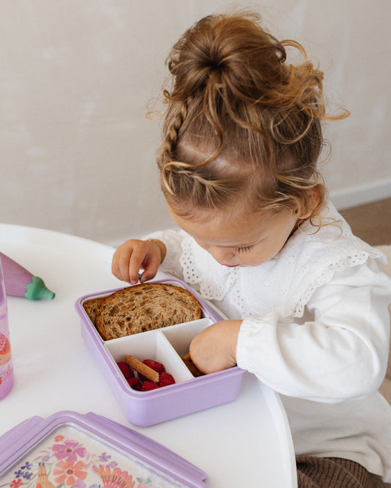 Petit Monkey broodtrommel bento birds of a featherLB55-Rc