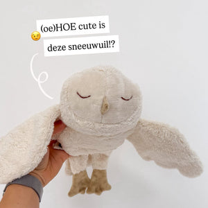 Senger Naturwelt sneeuwuil atmos