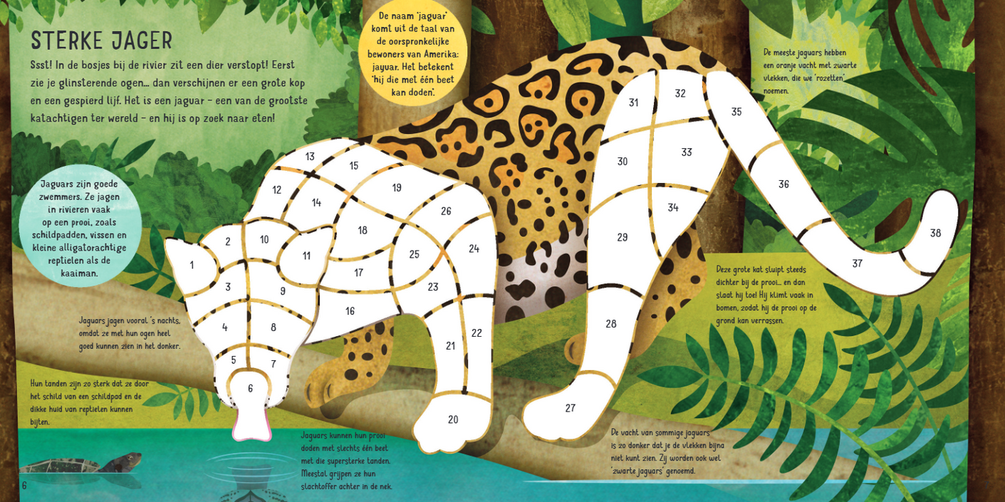 StickersplakkenopnummerJungle 9789463549196 c