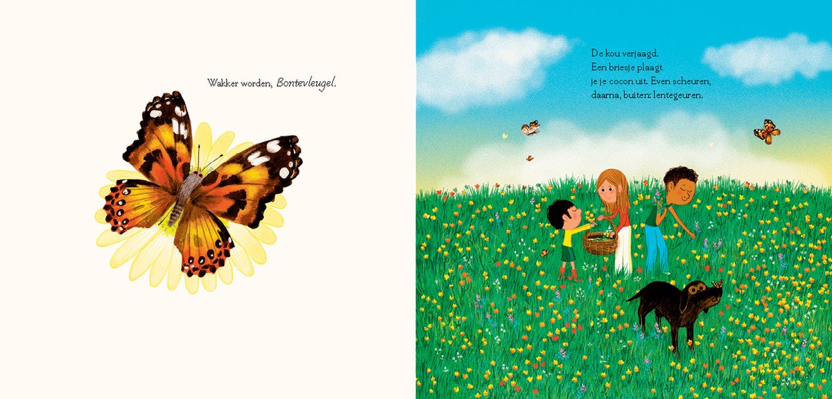 Wakker worden, bos 4 jr+