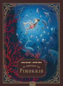De avonturen van pinokkio 8 jr+