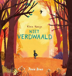 Klein konijn niet verdwaald 3jr+