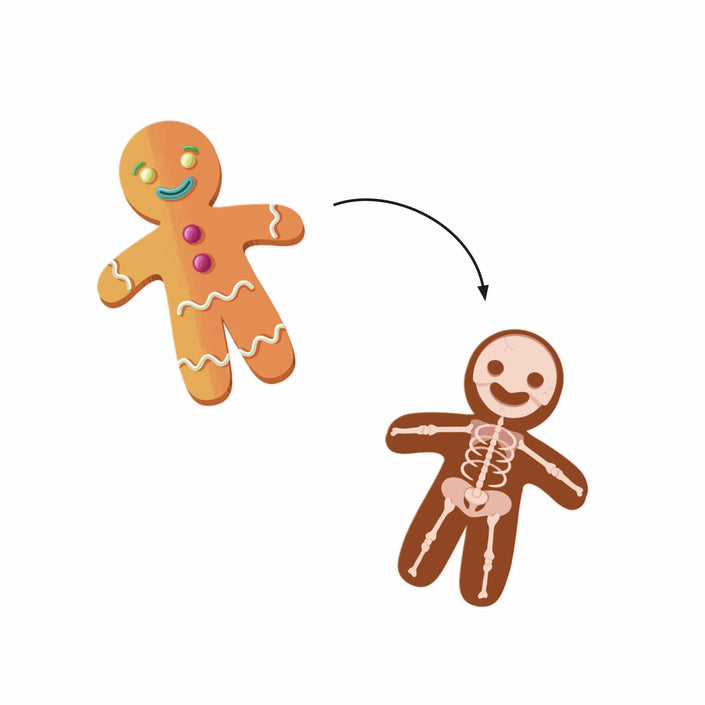 DJECO stickers X-Rays