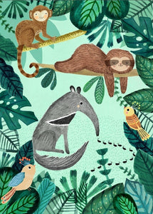 Petit Monkey ansichtkaart Anteater and sloth