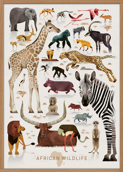 Dieter Braun poster African Wildlife 50 x 70 cm