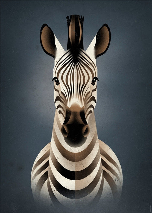 Dieter Braun poster Zebra 50 x 70 cm