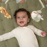 Little Dutch muziekmobiel Little Farm 0 mnd+ LD8800e