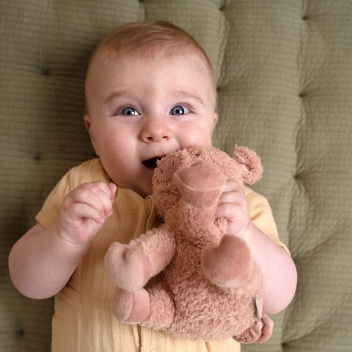 Little Dutch knuffel varken Little Farm 17 cm 0 mnd+ LD8828c