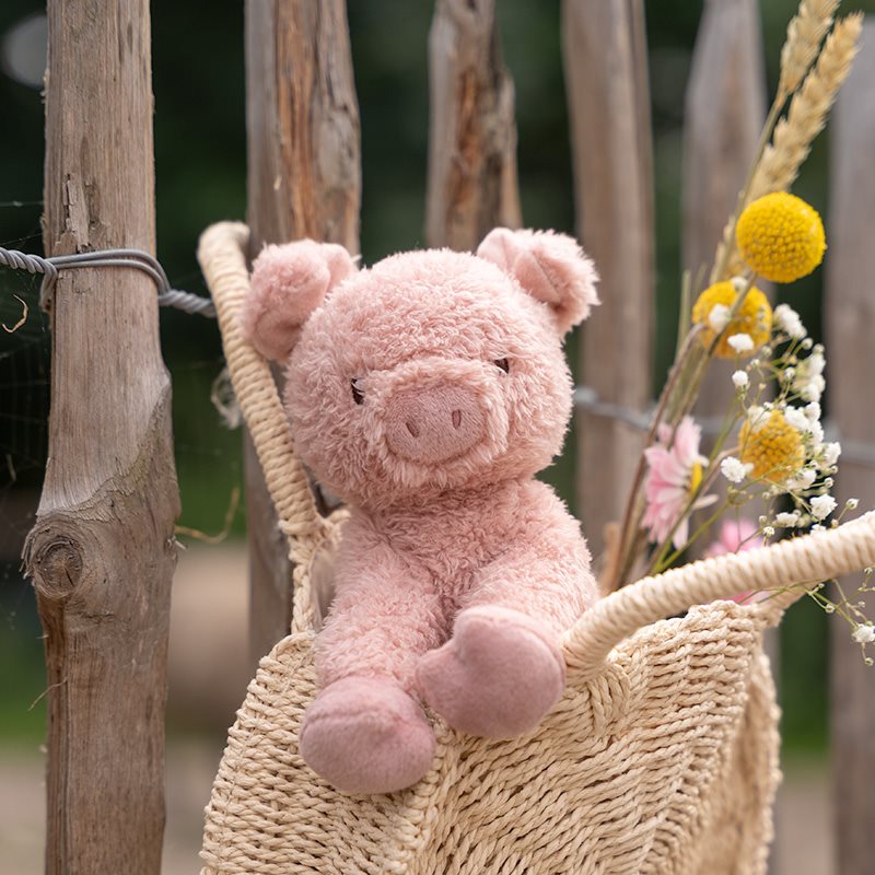 Little Dutch knuffel varken Little Farm 17 cm 0 mnd+ 8713291888289