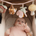 Little Dutch wagenspanner Fairy Garden 0 mnd+ LD9011