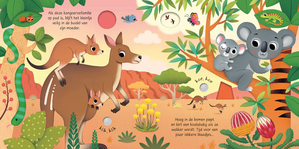 Babydieren - geluidenboek 1 jr+UA00692b