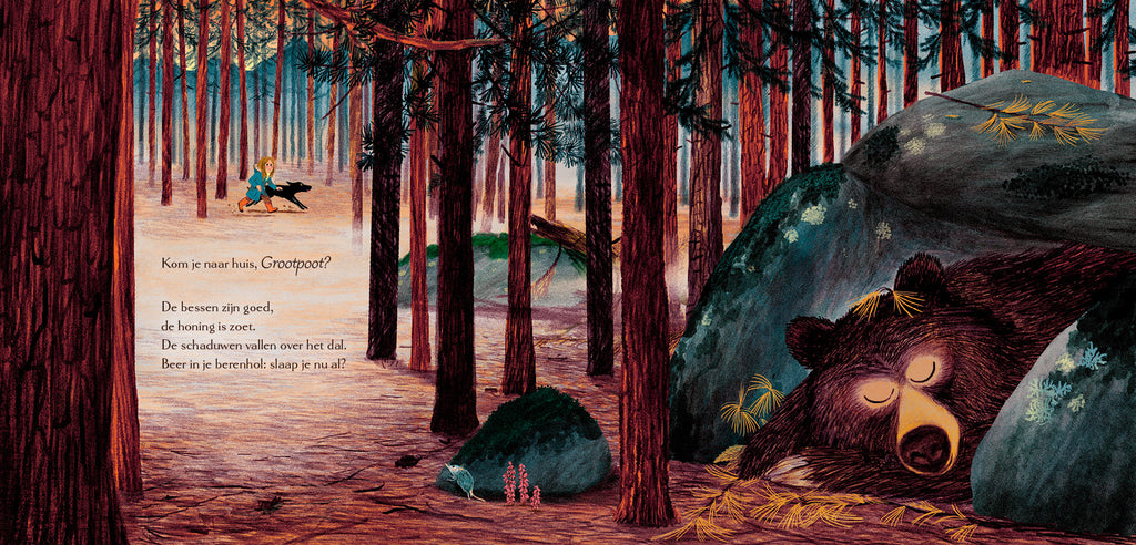 Dromen van het bos 3 jr+ hardcover - gebonden