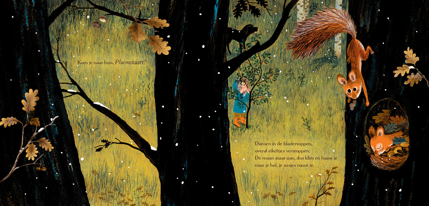 Dromen van het bos 3 jr+