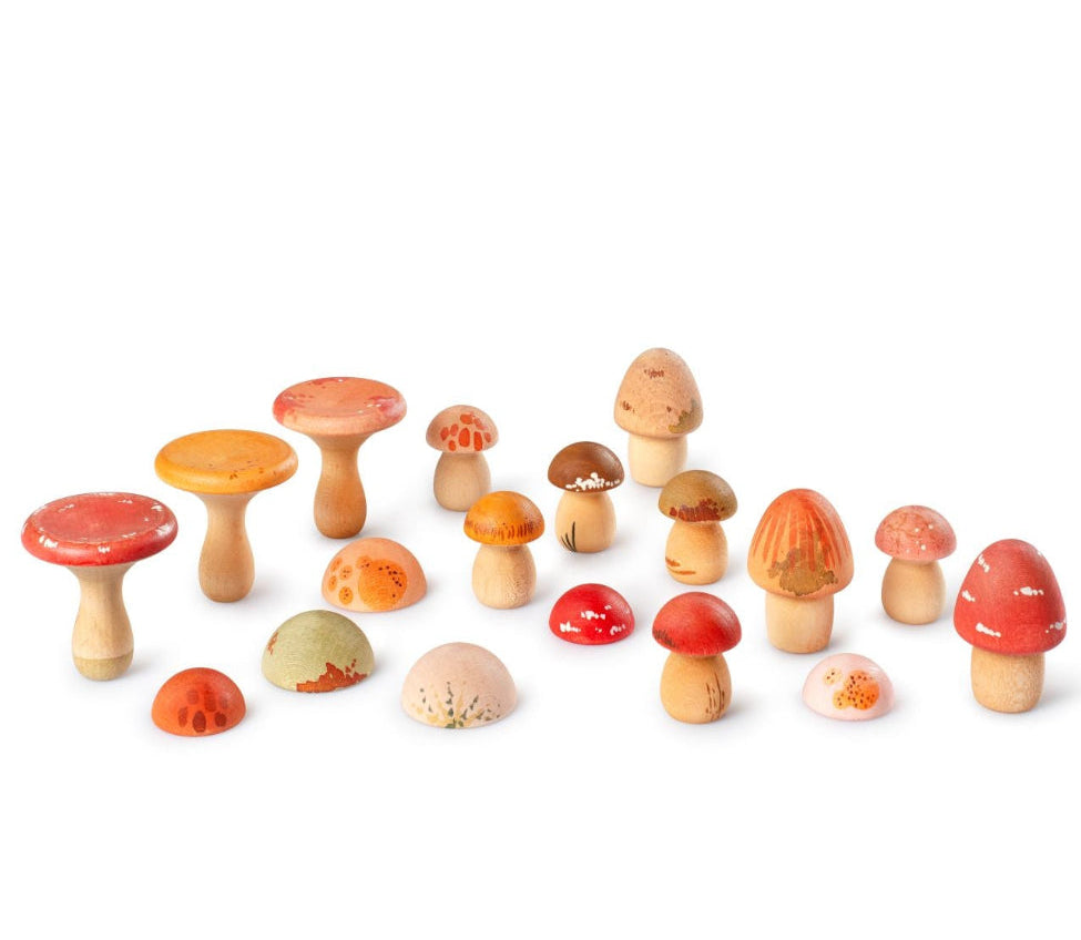 Grapat paddenstoelen 18 stks 3 jr+ kopen