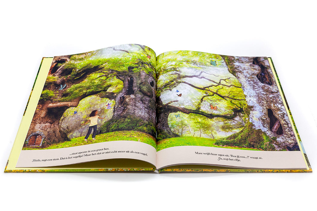 Het land achter de Elfendeur 4 jr+