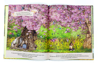 Het land achter de Elfendeur 4 jr+