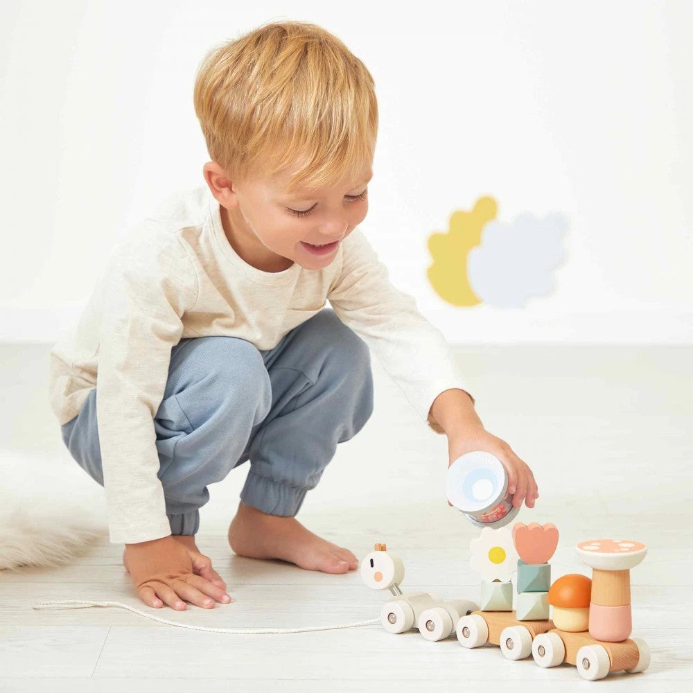 JANOD trekfiguur Sweet Cocoon slakkentrein 1jr+ kopen