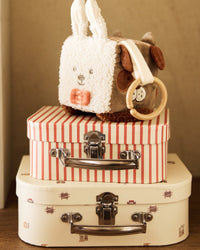 Jollein_Speelkoffertjes_animal_friends059-595-68154h