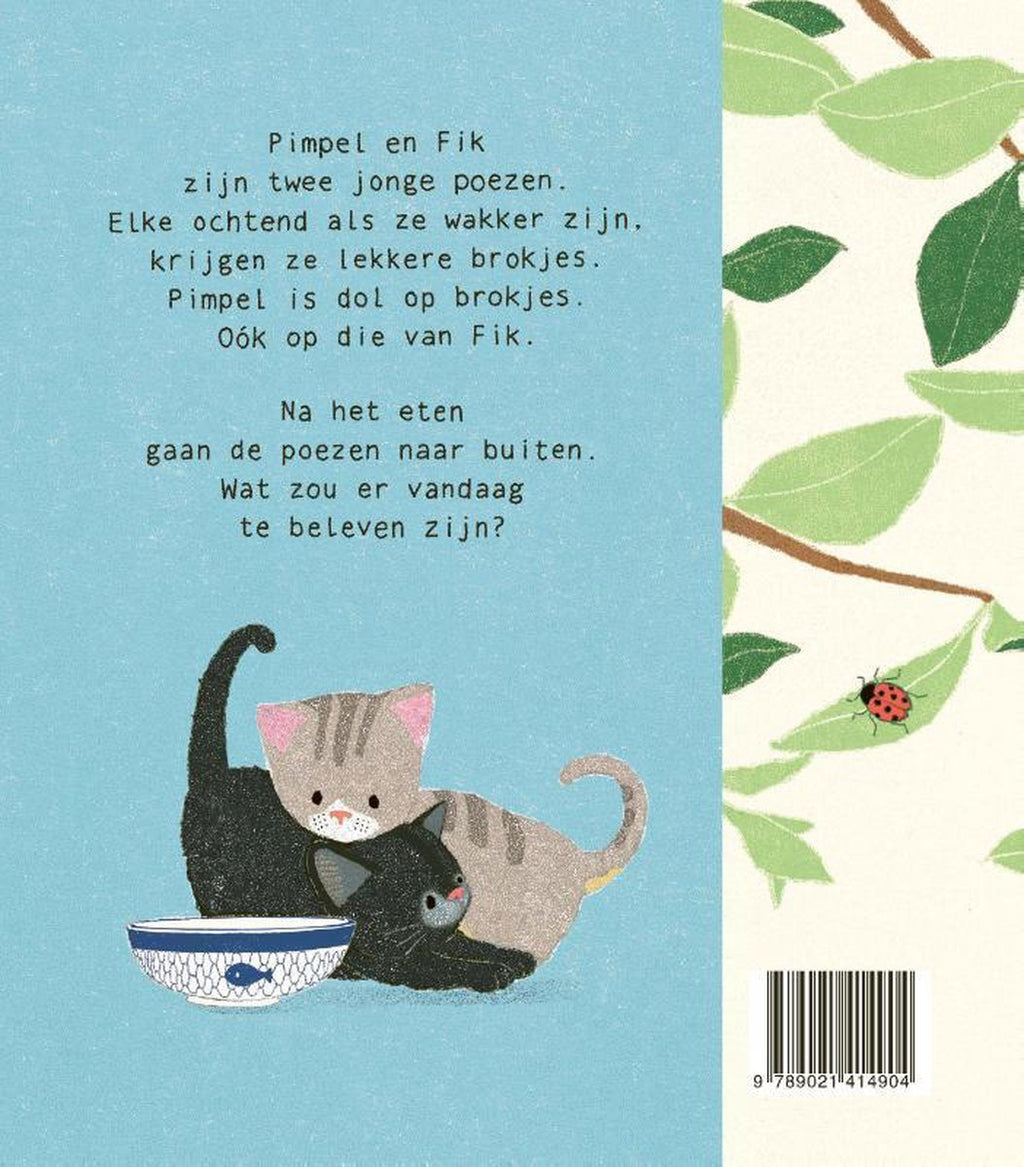 Knoeipoezen 3 jr+ kopen