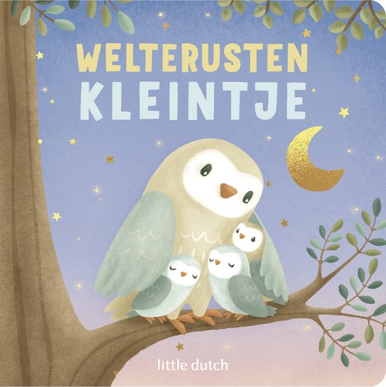 Little Dutch welterusten kleintje voorleesboekje 1 jr+