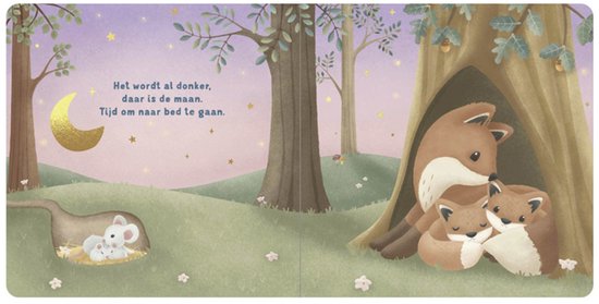 Little Dutch welterusten kleintje voorleesboekje 1 jr+ kopen