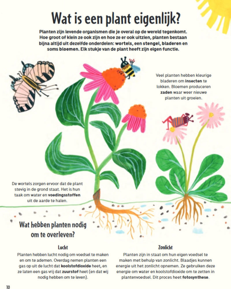 Mijn eerste grote tuinboek 6 jr+ kopen