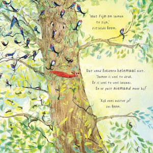 Onze boom 2 jr+VU22527