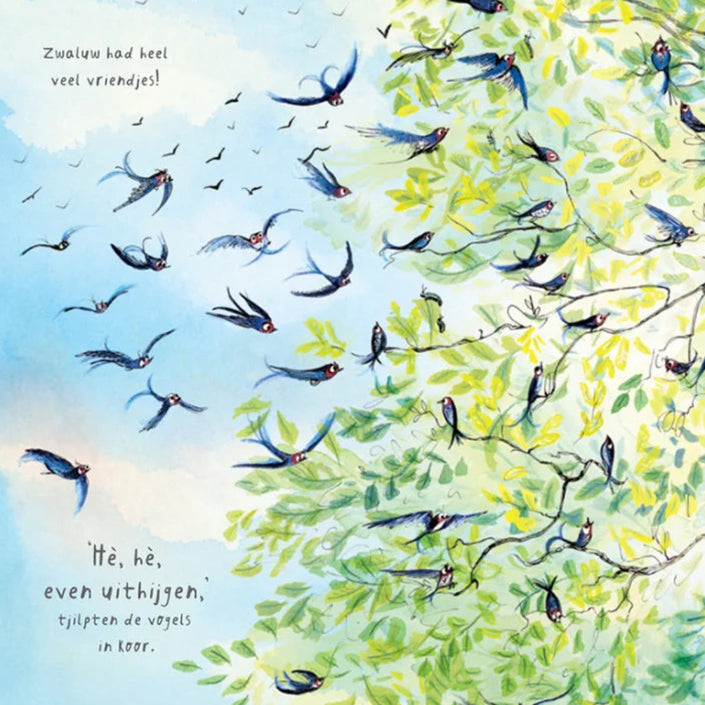 Onze boom 2 jr+VU22527c