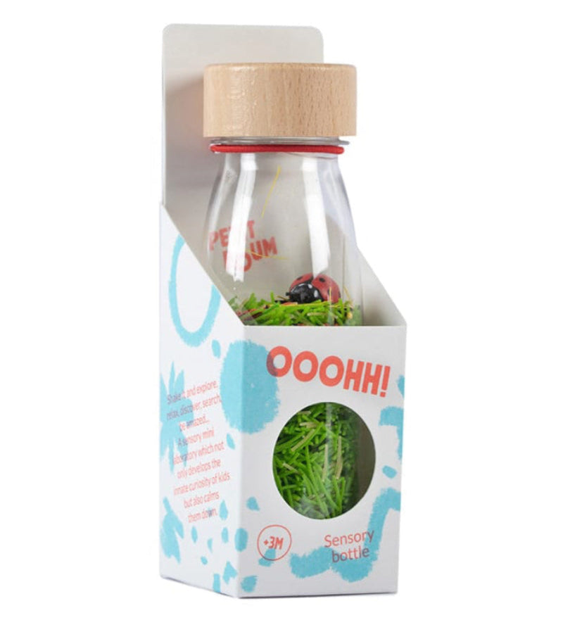 Petit Boum sensorische fles Sound Ladybird 3 mnd+ kopen
