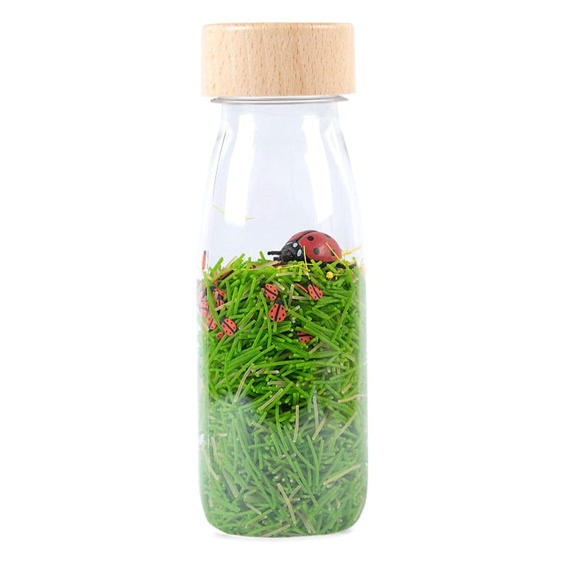 Petit Boum sensorische fles Sound Ladybird 3 mnd+
