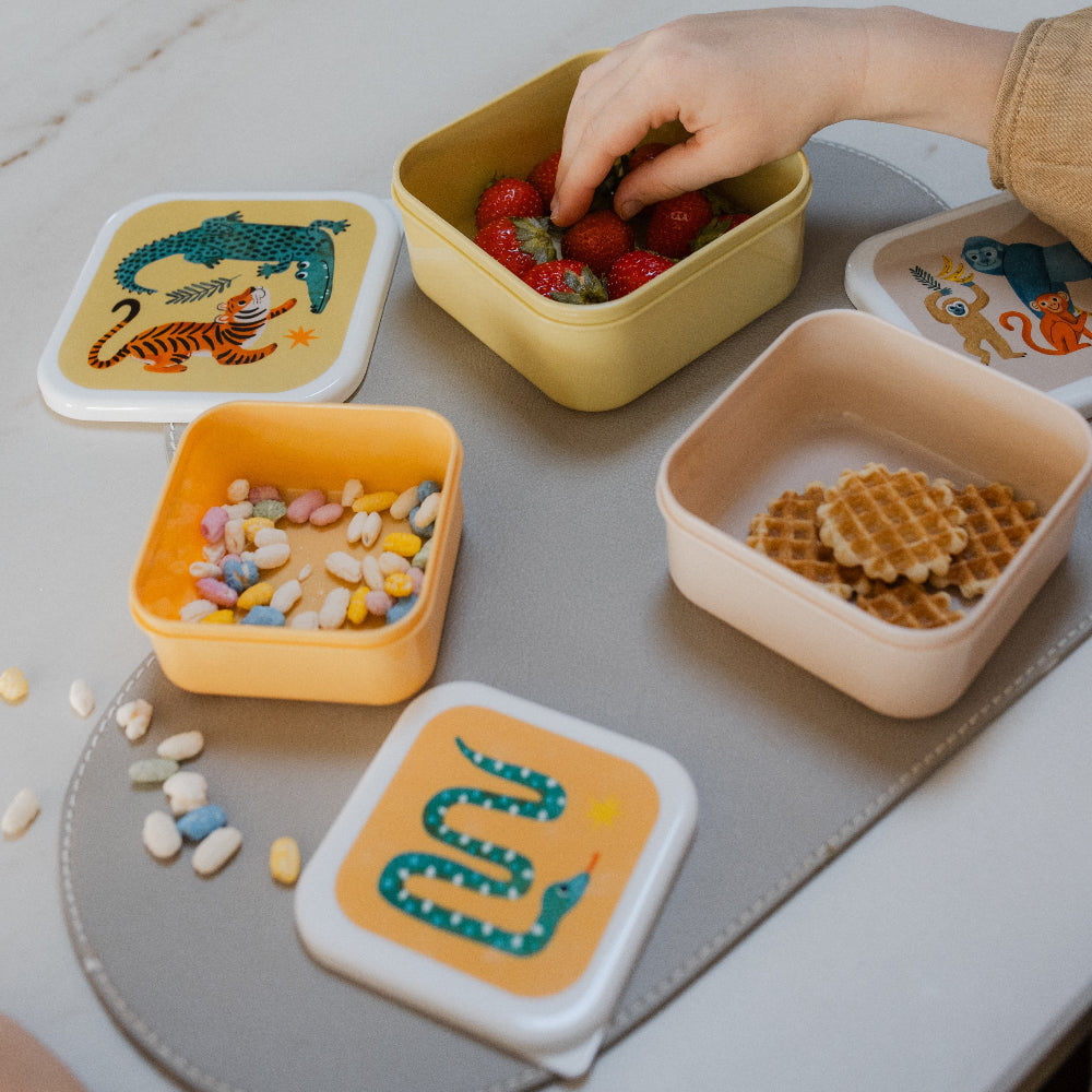 Petit Monkey snackbox set upside down animals 12 x 12 cm LB56-R