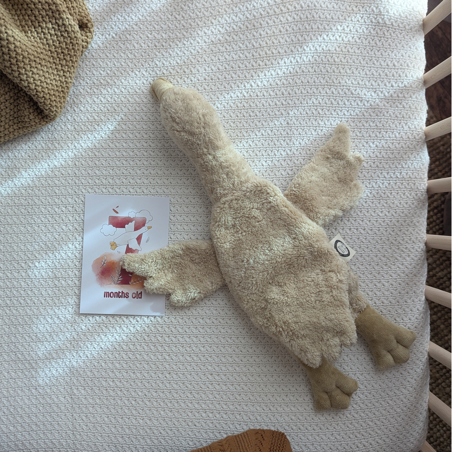 Senger Naturwelt warmte knuffel gans linen klein 2 mnd+ kopen