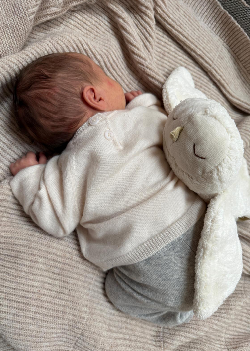 Senger Naturwelt warmte knuffel sneeuwuil klein 2mnd+ Y21087