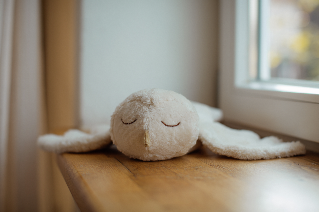 Senger Naturwelt warmte knuffel sneeuwuil klein 2mnd+ Y21087 