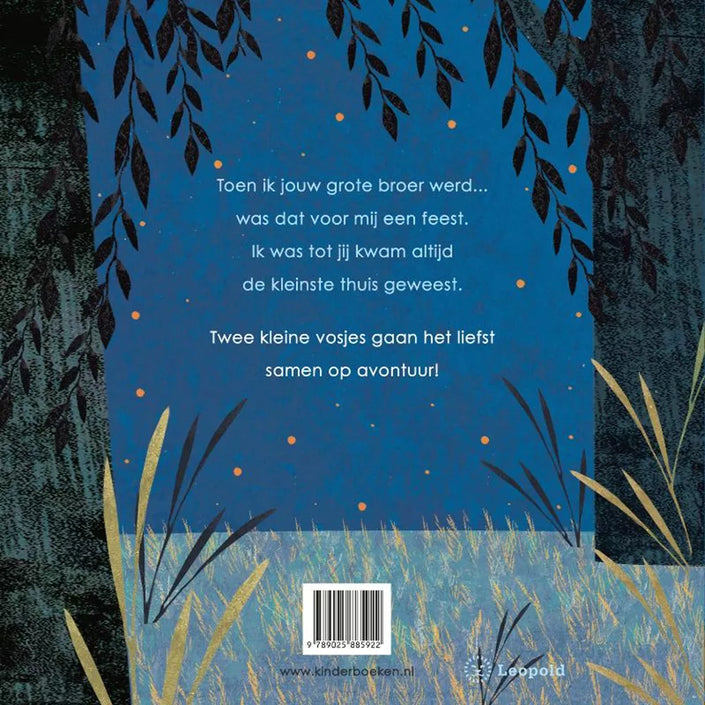 Toen ik jouw grote broer werd 3jr 9789025885922 b