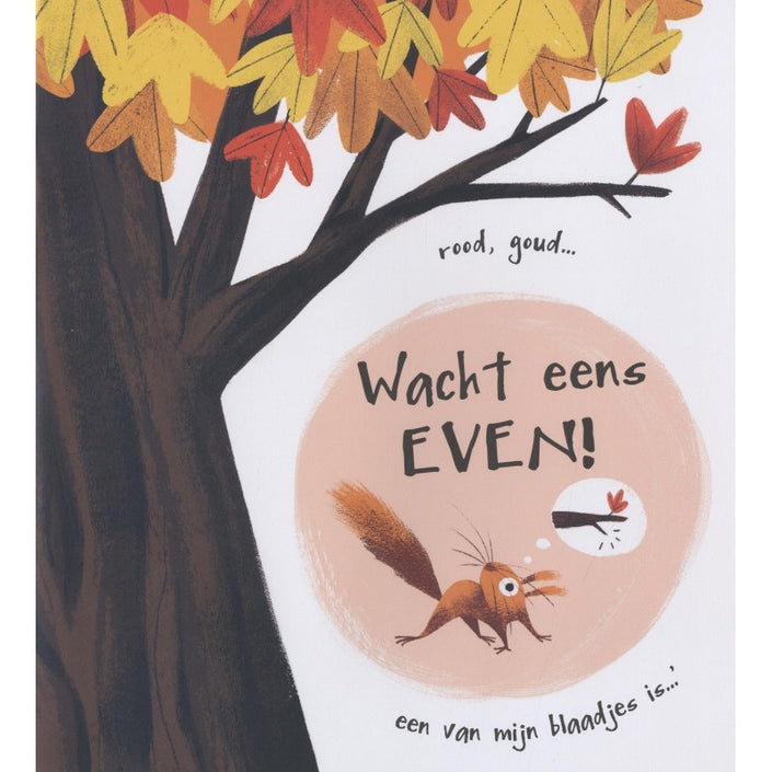 De blaadjesdief 3 jr+