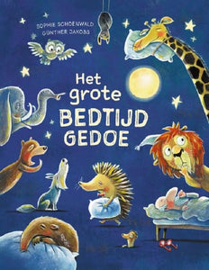 Het grote bedtijdgedoe 3 jr+