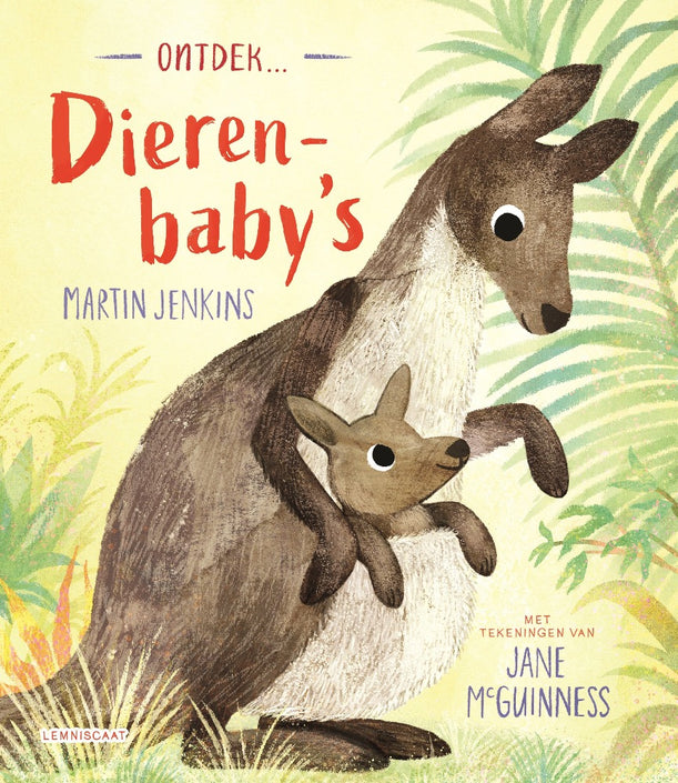 Ontdek dierenbaby's 4 jr+