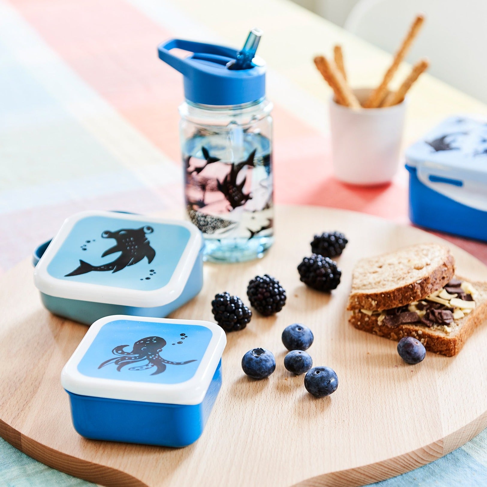 Petit Monkey trommel set Sea animals 12 x 12 cm