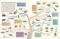 Het dikke boek van alle bijzondere dino's 7jr+