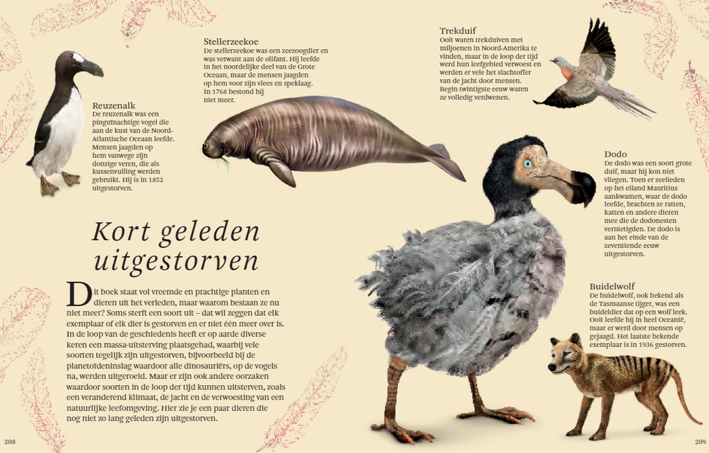 Het dikke boek van alle bijzondere dino's 7jr+