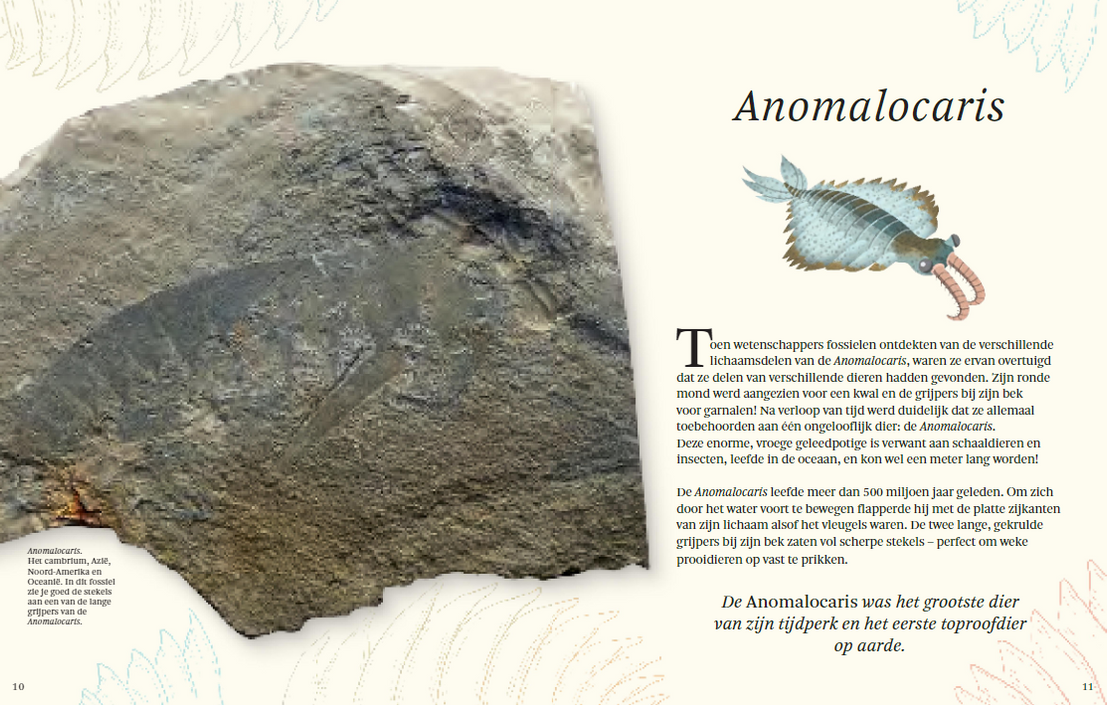 Het dikke boek van alle bijzondere dino's 7jr+